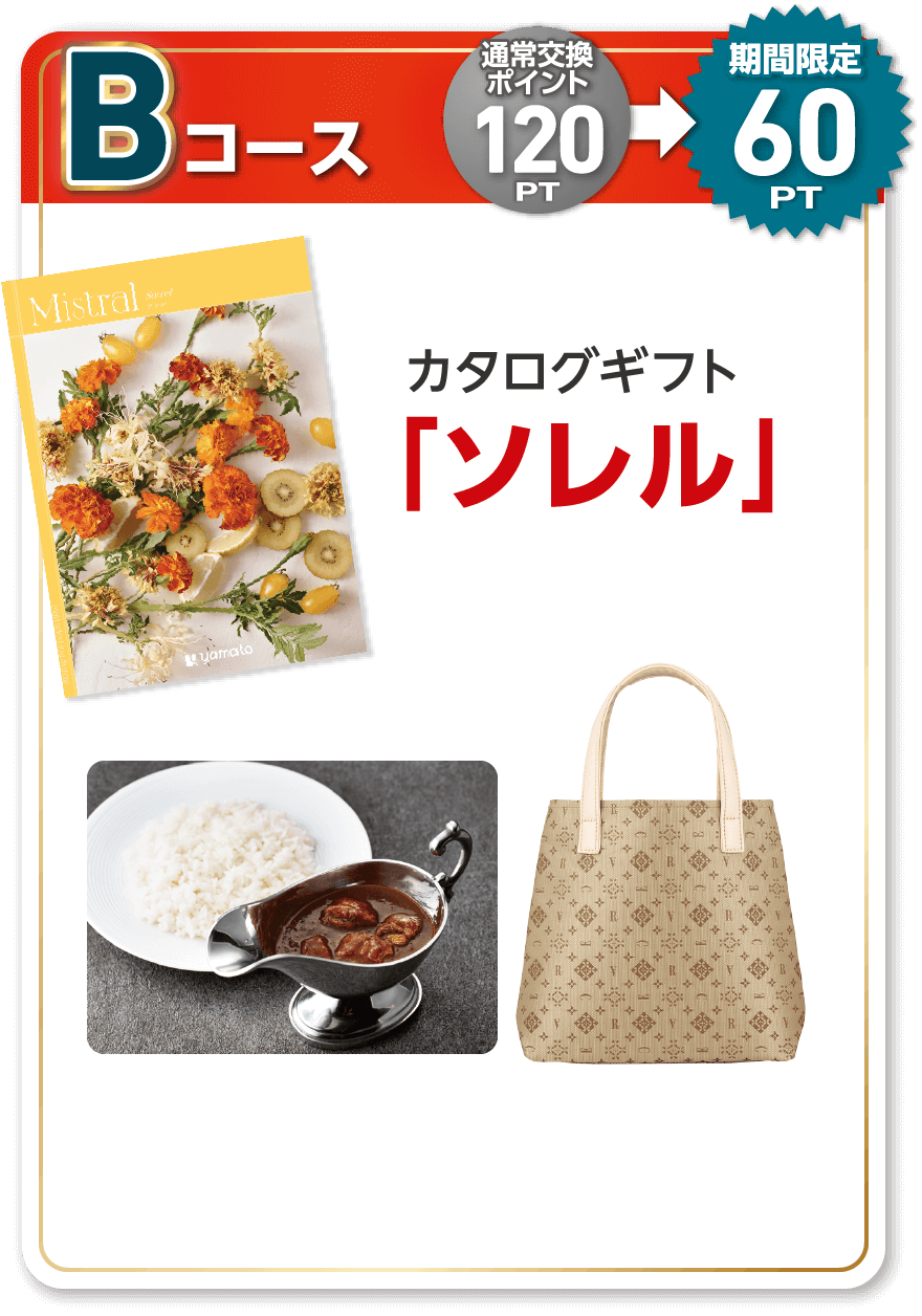 Bコース 通常交換ポイント120PT 期間限定60PT カタログギフト「ソレル」