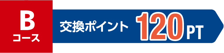 Bコース 交換ポイント 120PT
