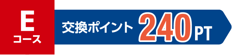 Eコース 交換ポイント 240PT