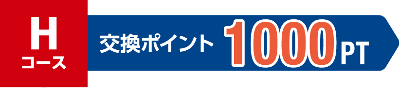Hコース 交換ポイント 1000PT
