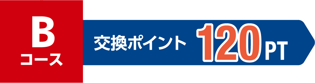 Bコース 交換ポイント 120PT