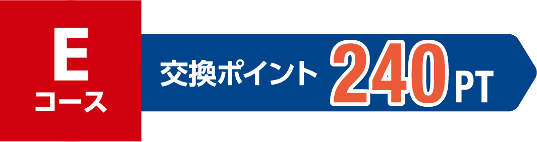 Eコース 交換ポイント 240PT