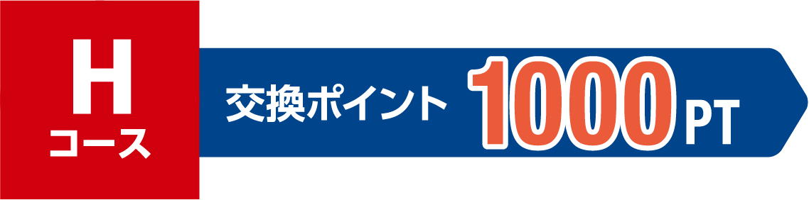 Hコース 交換ポイント 1000PT